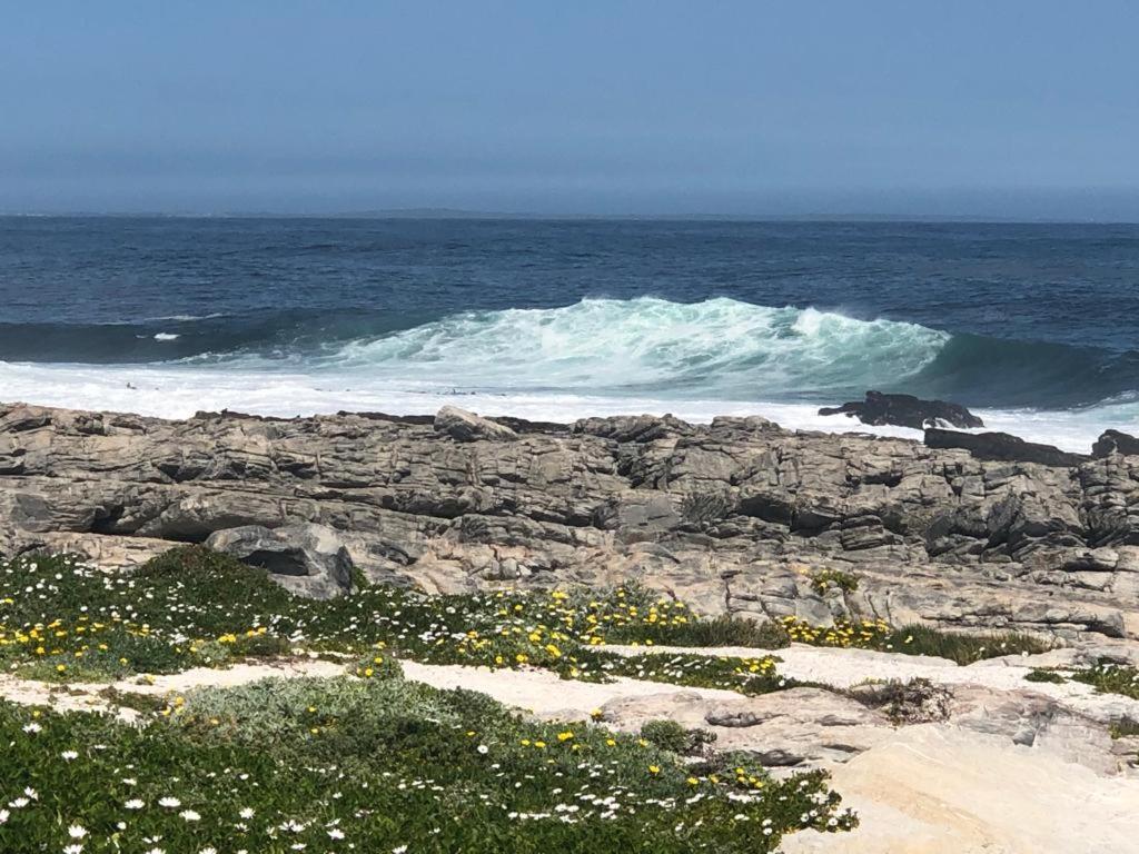 Hermanus Beach Club - Le Maree House 18 エクステリア 写真